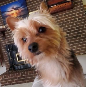 Meet your Posher, Linda